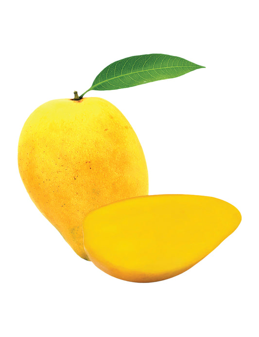 Mango Bud