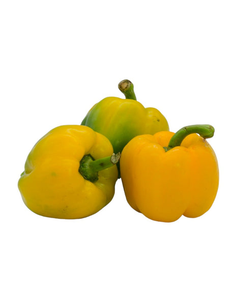 BELL Pepper, Yellow