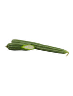 RIBBED Gourd