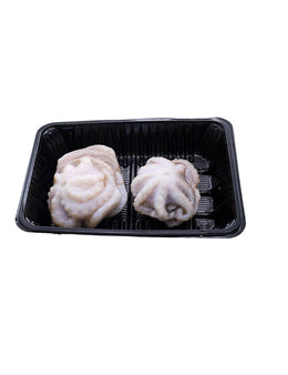 FROZEN BABY Octopus Bulk