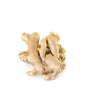 GINGER