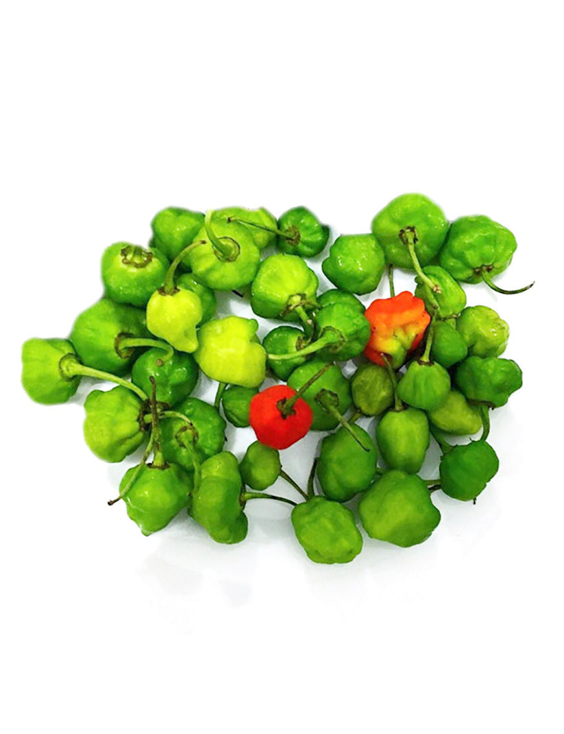 NI MIRIS – SPAR2U Sri Lanka