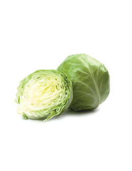 CABBAGE