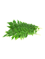 CURRY Leaves