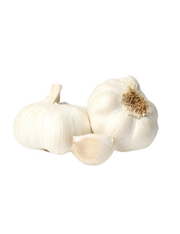 GARLIC